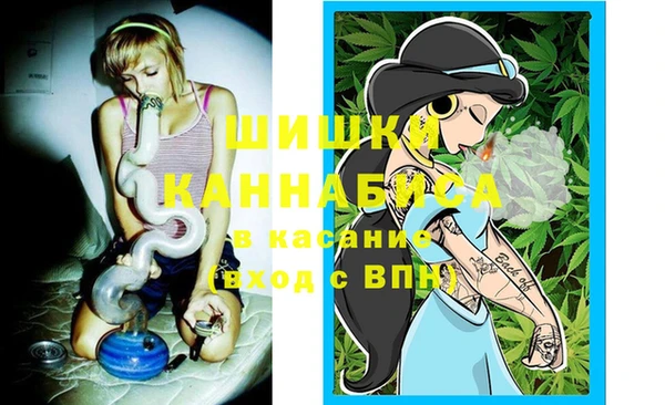 ПСИЛОЦИБИНОВЫЕ ГРИБЫ Вязьма