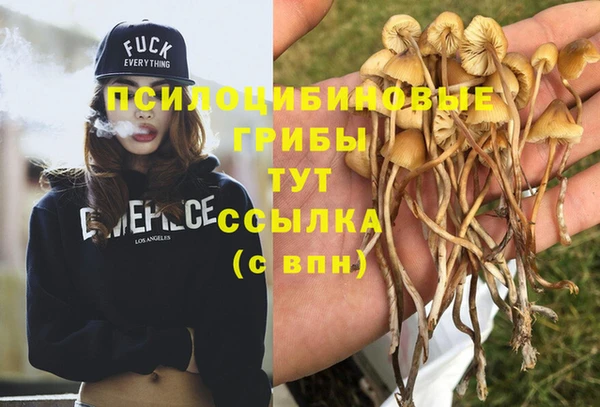 MESCALINE Вяземский