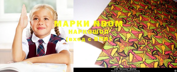 ПСИЛОЦИБИНОВЫЕ ГРИБЫ Вязьма