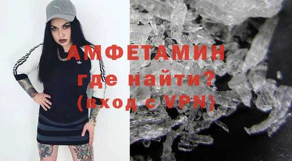 ПСИЛОЦИБИНОВЫЕ ГРИБЫ Вязьма